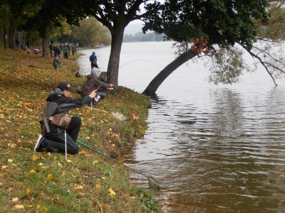 Kliknite pre zobrazenie v plnom rozlíšení