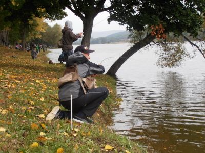 Kliknite pre zobrazenie v plnom rozlíšení