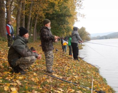 Kliknite pre zobrazenie v plnom rozlíšení