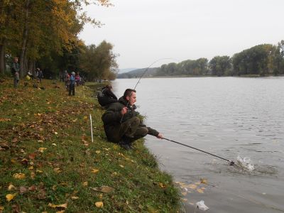 Kliknite pre zobrazenie v plnom rozlíšení
