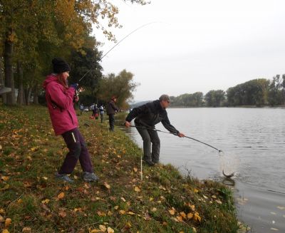 Kliknite pre zobrazenie v plnom rozlíšení