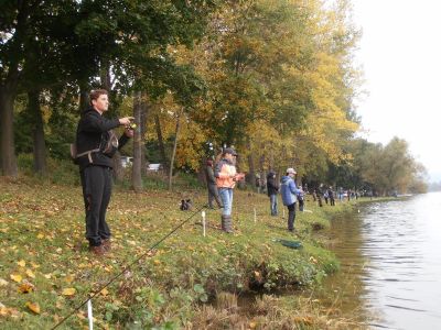 Kliknite pre zobrazenie v plnom rozlíšení