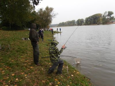 Kliknite pre zobrazenie v plnom rozlíšení