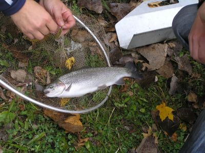 Kliknite pre zobrazenie v plnom rozlíšení