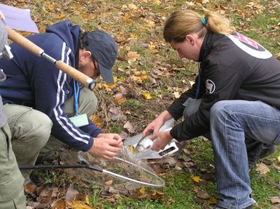 Kliknite pre zobrazenie v plnom rozlíšení