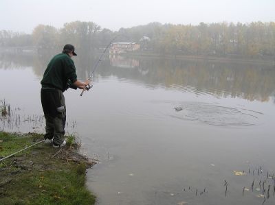 Kliknite pre zobrazenie v plnom rozlíšení