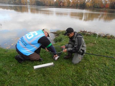 Kliknite pre zobrazenie v plnom rozlíšení