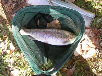 Kliknite pre zobrazenie v plnom rozlíšení