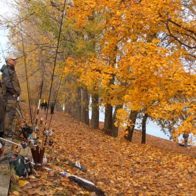 Kliknite pre zobrazenie v plnom rozlíšení