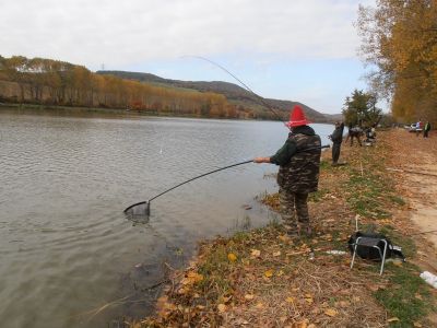 Kliknite pre zobrazenie v plnom rozlíšení