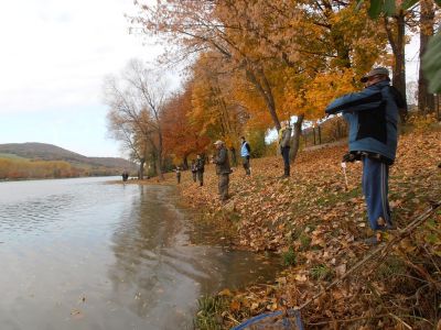 Kliknite pre zobrazenie v plnom rozlíšení