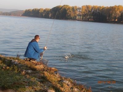 Kliknite pre zobrazenie v plnom rozlíšení