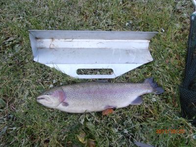 Kliknite pre zobrazenie v plnom rozlíšení