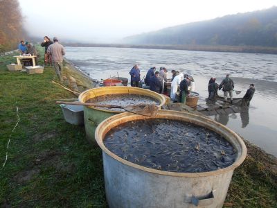 Kliknite pre zobrazenie v plnom rozlíšení