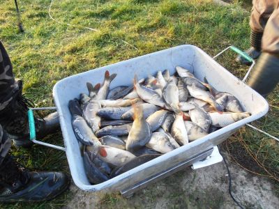 Kliknite pre zobrazenie v plnom rozlíšení