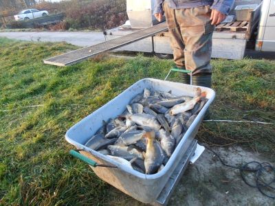 Kliknite pre zobrazenie v plnom rozlíšení