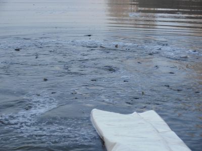 Kliknite pre zobrazenie v plnom rozlíšení