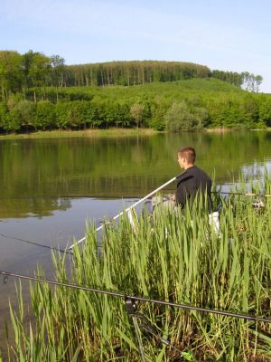 Kliknite pre zobrazenie v plnom rozlíšení