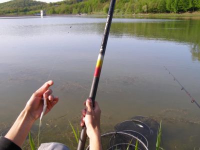 Kliknite pre zobrazenie v plnom rozlíšení