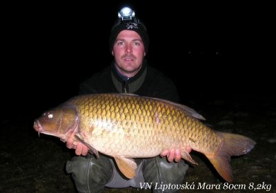 Kliknite pre zobrazenie v plnom rozlíšení