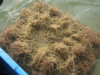 Kliknite pre zobrazenie v plnom rozlíšení