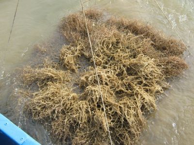 Kliknite pre zobrazenie v plnom rozlíšení