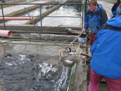 Kliknite pre zobrazenie v plnom rozlíšení