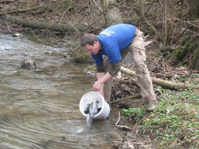 Kliknite pre zobrazenie v plnom rozlíšení