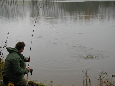Kliknite pre zobrazenie v plnom rozlíšení