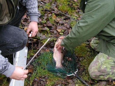 Kliknite pre zobrazenie v plnom rozlíšení