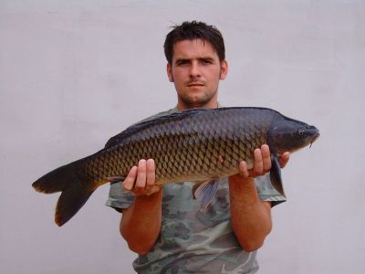 Kliknite pre zobrazenie v plnom rozlíšení