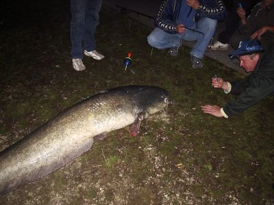 Kliknite pre zobrazenie v plnom rozlíšení