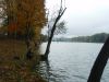 Filename=PA170004.JPG
Filesize=145KB
Dimensions=800x600
Date added=Oct 17, 2009 PA170004.JPG