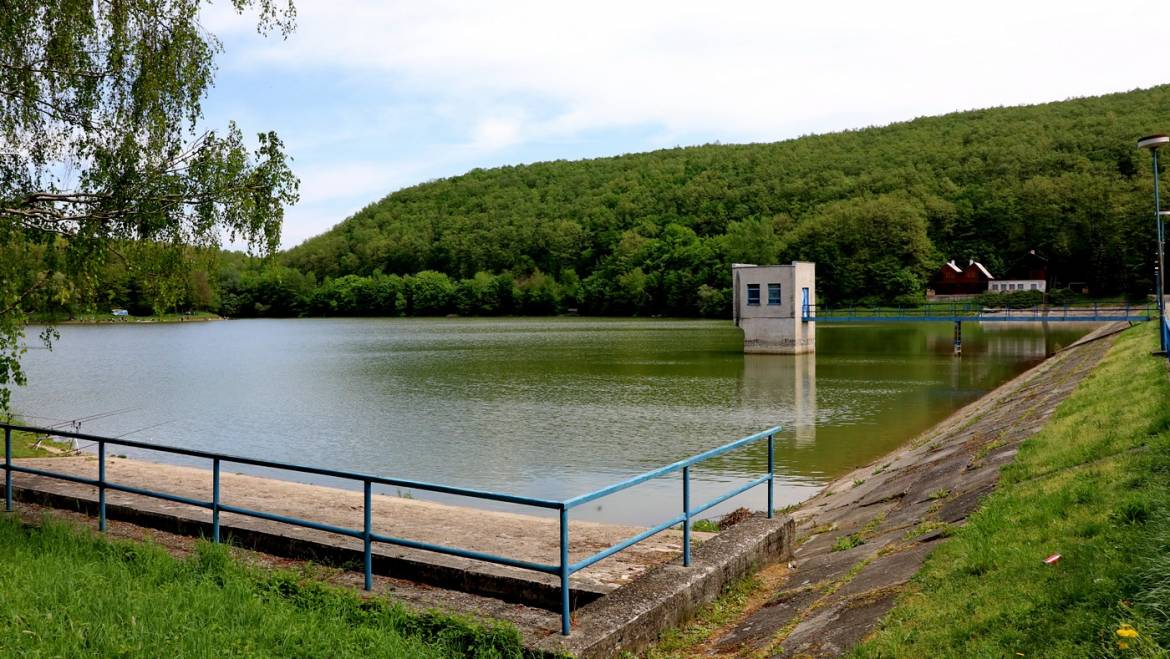 Zarybňovanie 2018.